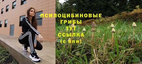 бошки Волоколамск