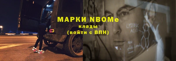индика Переславль-Залесский
