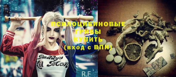 Альфа ПВП Володарск