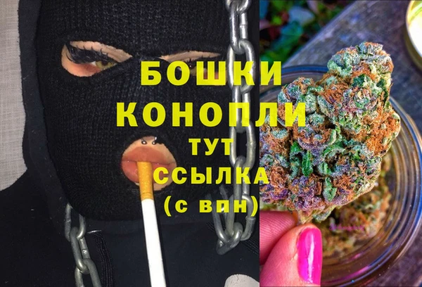 СК Пересвет